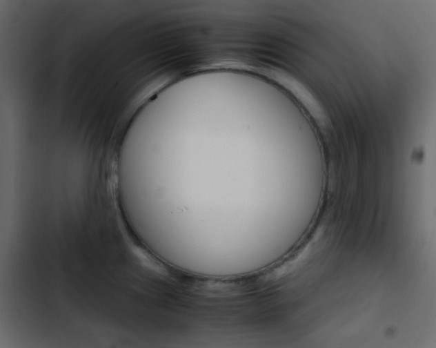 X0000103901241200809191048