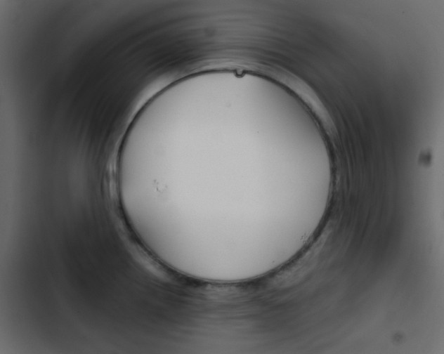 X0000103901242200809191048