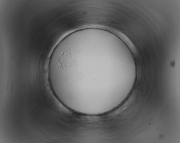 X0000103901244200809191048