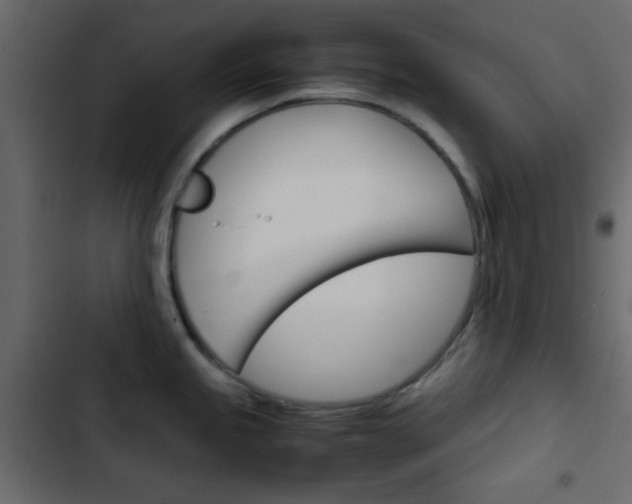 X0000103901245200809191048