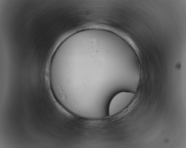 X0000103901247200809191048