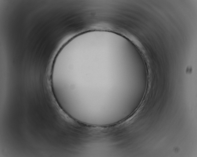 X0000103901248200809191048