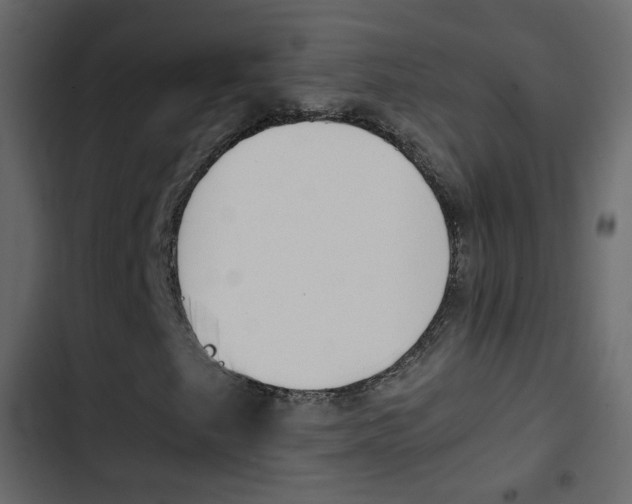 X0000103901249200809191047