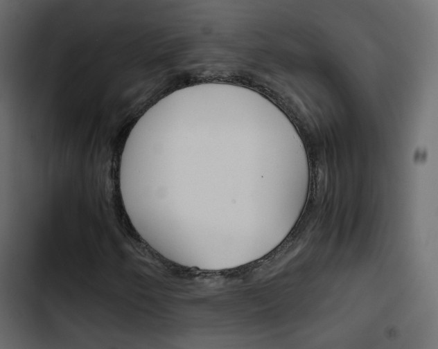 X0000103901250200809191047