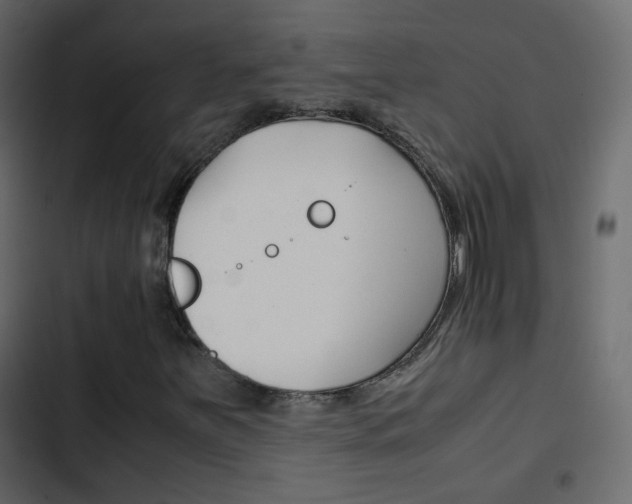 X0000103901251200809191047