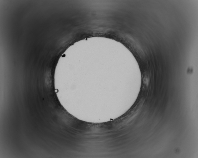 X0000103901252200809191047