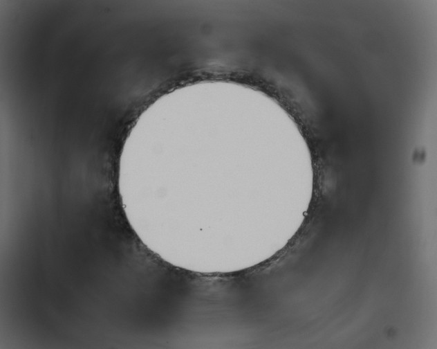 X0000103901253200809191047