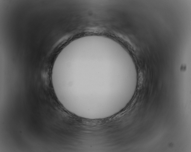 X0000103901254200809191047