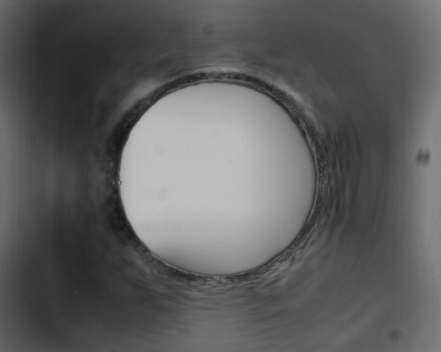 X0000103901255200809191047