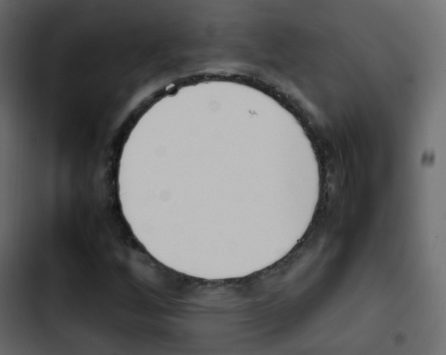X0000103901256200809191047