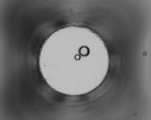 X0000103901257200809191047