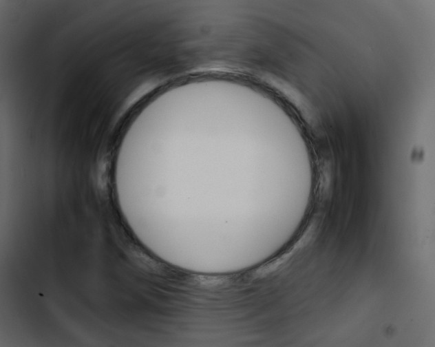 X0000103901258200809191047