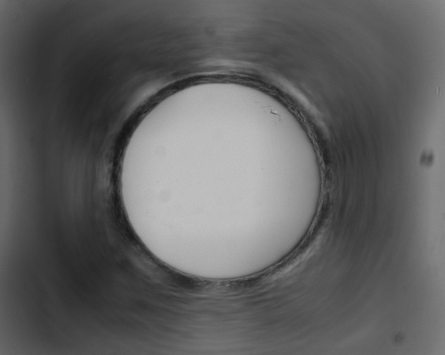 X0000103901259200809191047