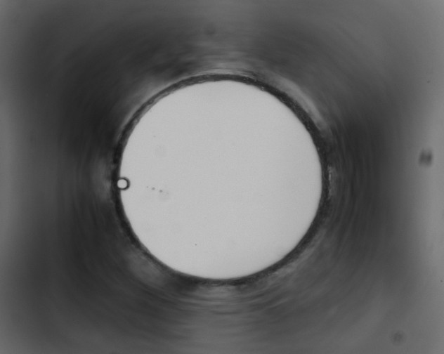 X0000103901260200809191047
