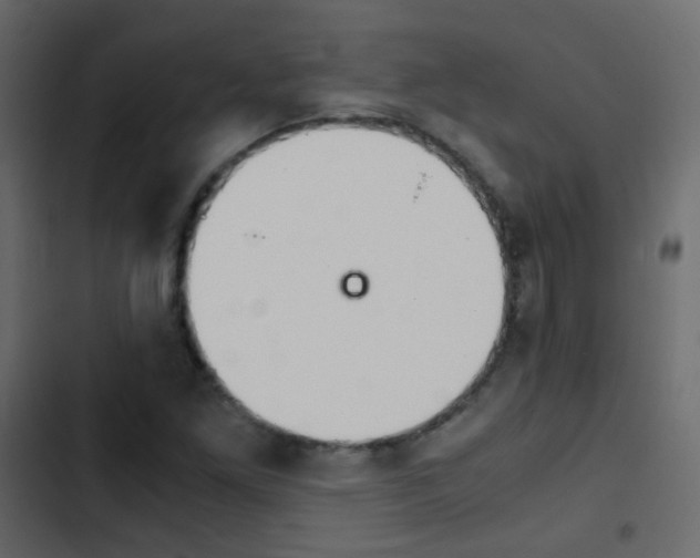 X0000103901261200809191047