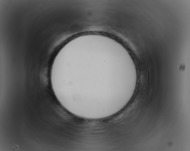 X0000103901262200809191047