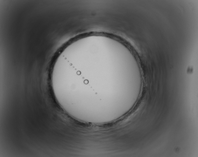X0000103901263200809191047