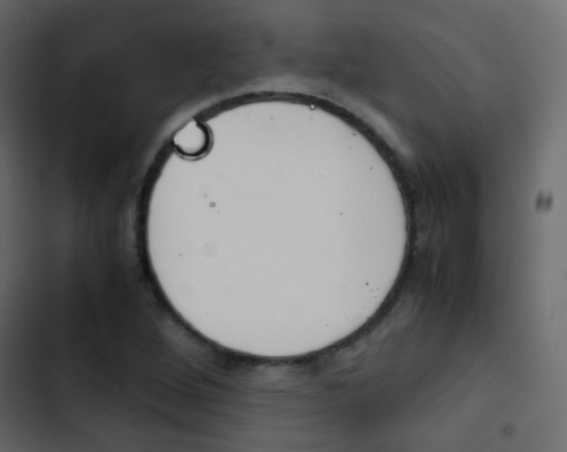 X0000103901264200809191047