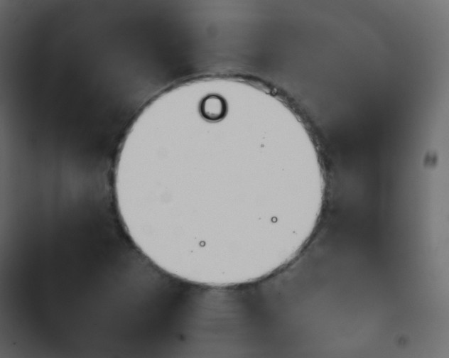 X0000103901265200809191047