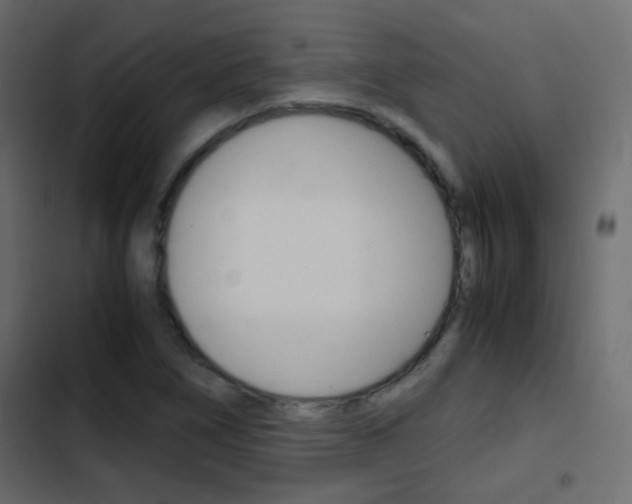 X0000103901266200809191047
