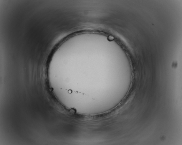 X0000103901267200809191047