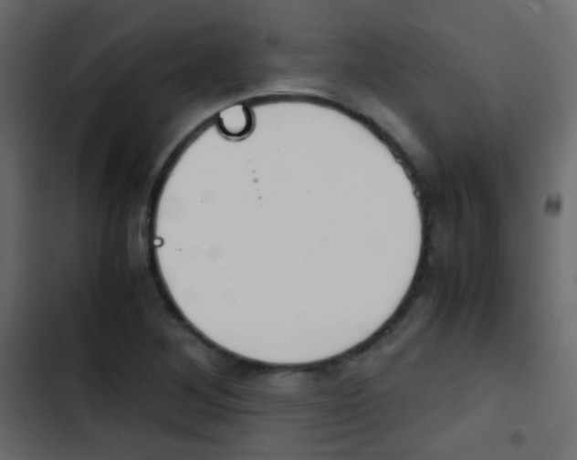 X0000103901268200809191047