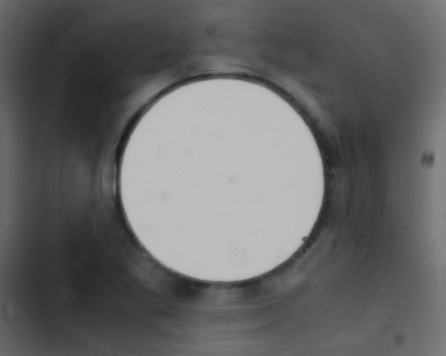 X0000103901269200809191047