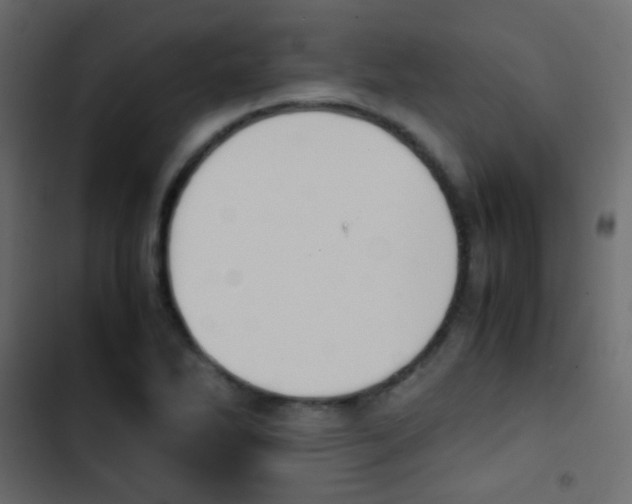 X0000103901270200809191047