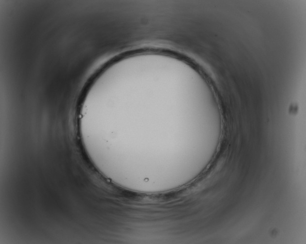 X0000103901271200809191047