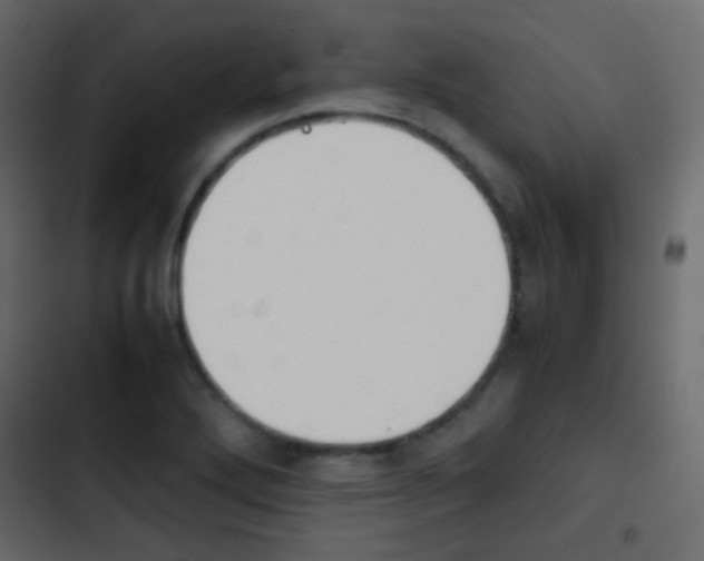 X0000103901272200809191047