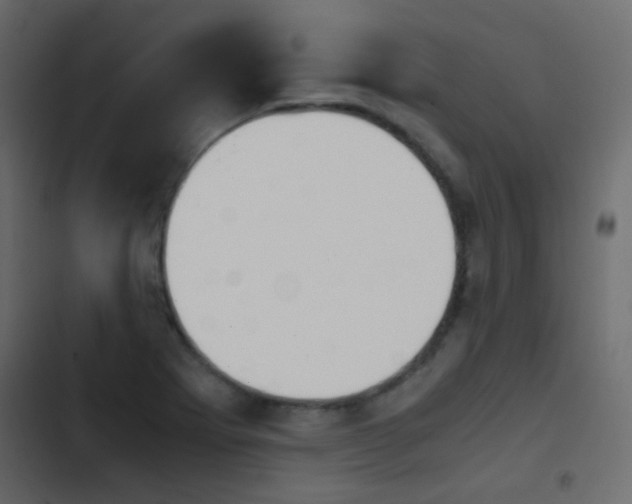 X0000103901273200809191047