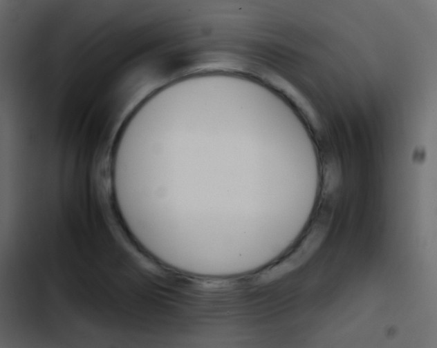 X0000103901274200809191047
