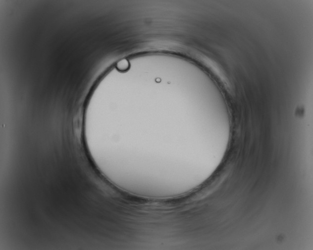 X0000103901275200809191047
