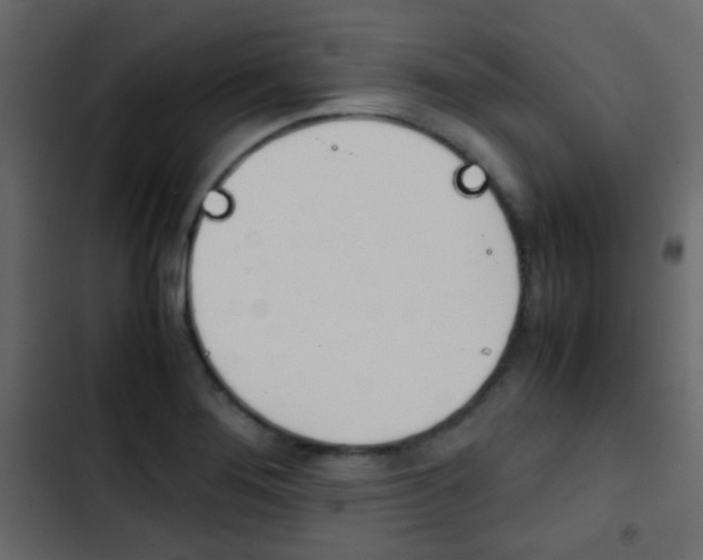 X0000103901276200809191047