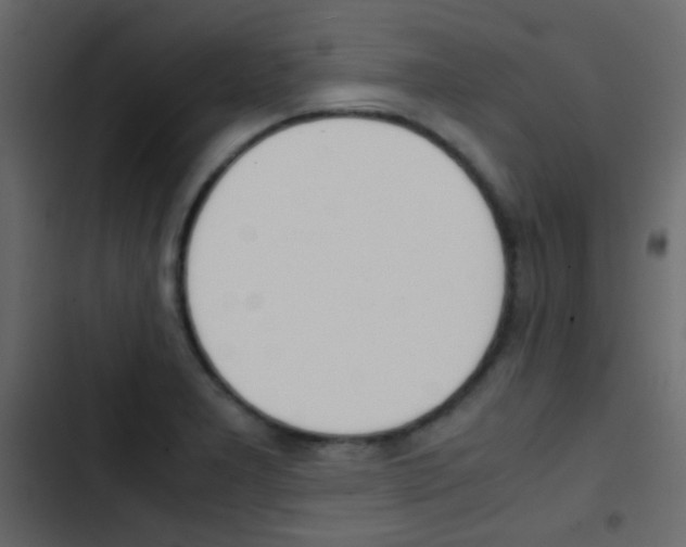 X0000103901277200809191047