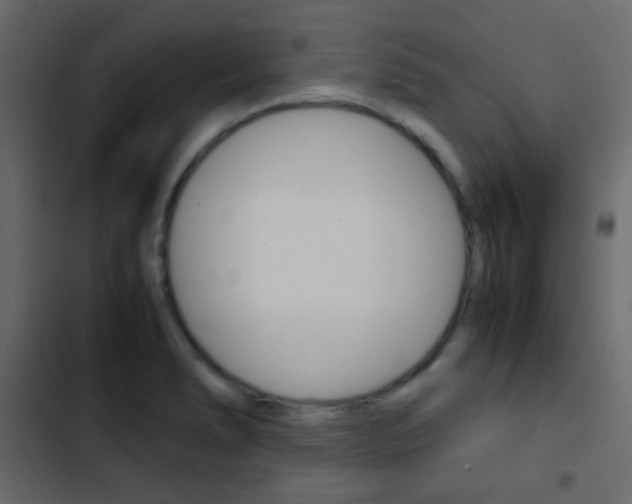 X0000103901278200809191047