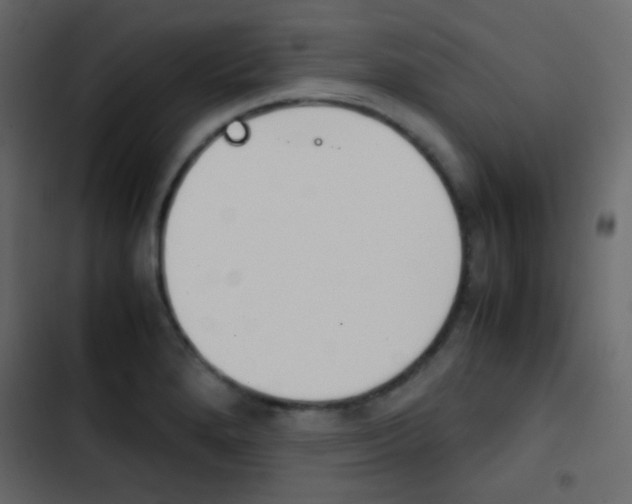 X0000103901280200809191047