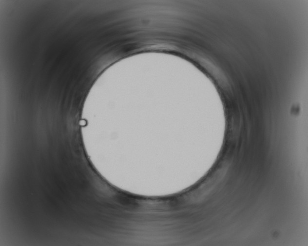 X0000103901281200809191047