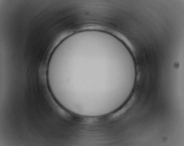 X0000103901282200809191047