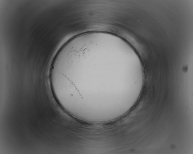 X0000103901283200809191047