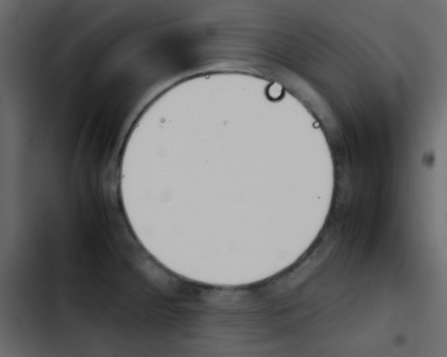 X0000103901284200809191047