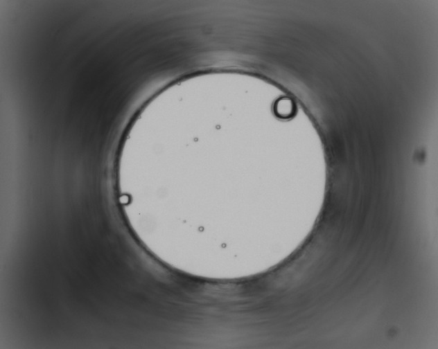 X0000103901285200809191047