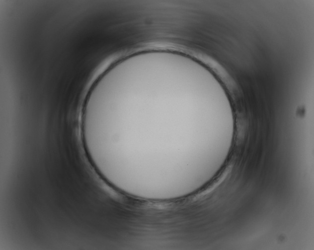 X0000103901286200809191046