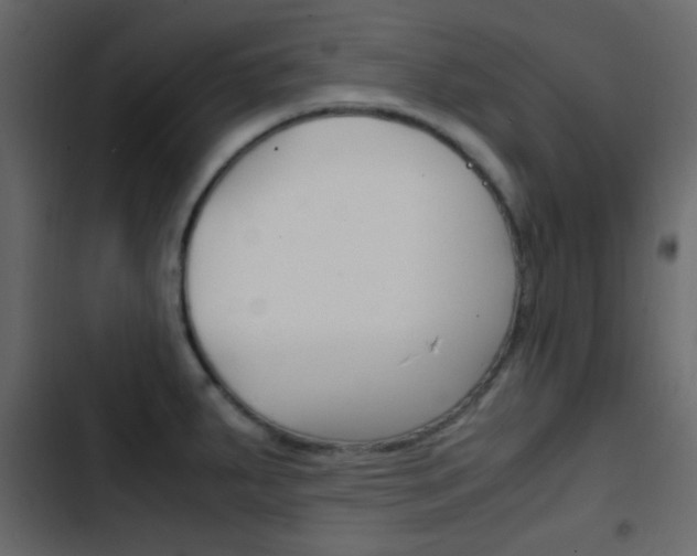 X0000103901287200809191046