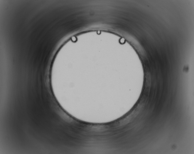 X0000103901288200809191046