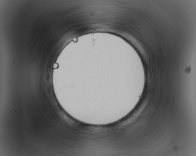 X0000103901289200809191046
