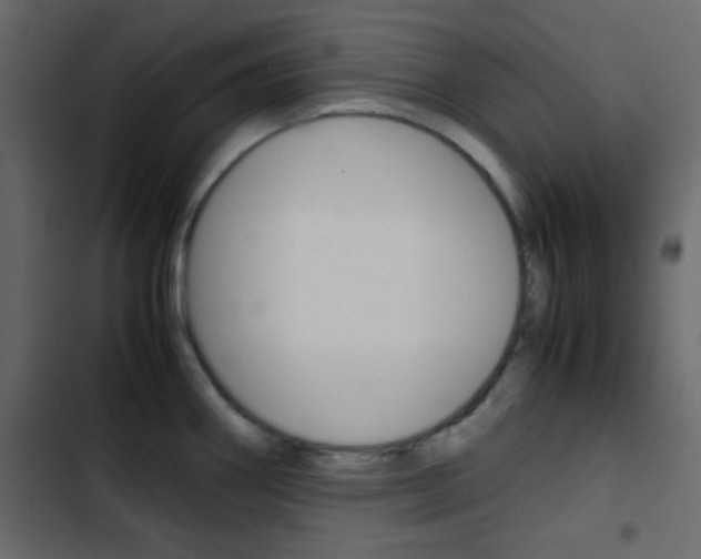 X0000103901290200809191046