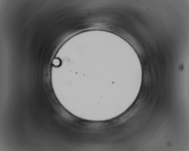 X0000103901292200809191046