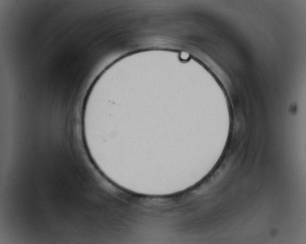 X0000103901293200809191046