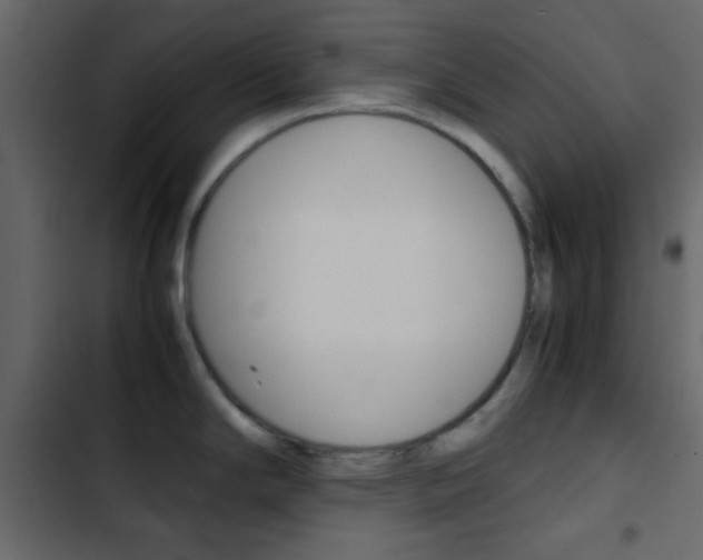 X0000103901294200809191046